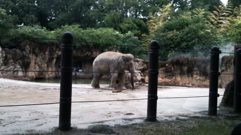 f:id:hmbdyh:20131005233712j:image