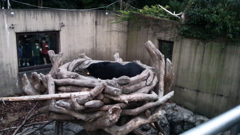 f:id:hmbdyh:20131005233715j:image