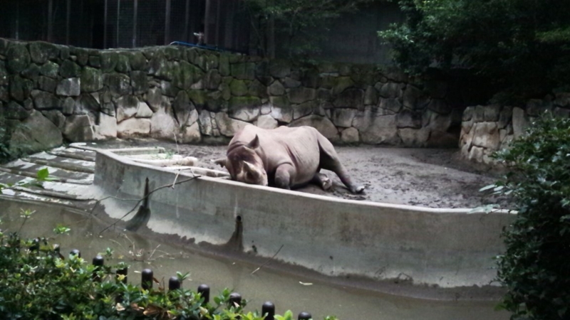 f:id:hmbdyh:20131005233725j:image