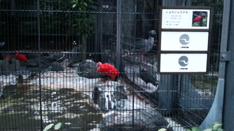 f:id:hmbdyh:20131005233727j:image