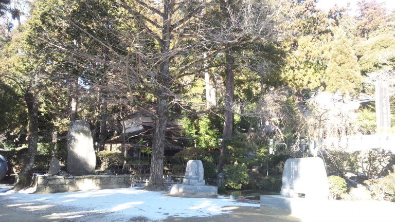 f:id:hmbdyh:20140119233024j:image f:id:hmbdyh:20140119233024j:image