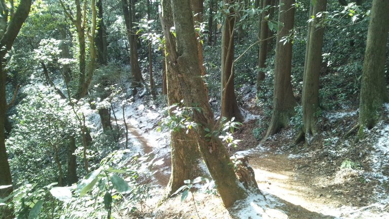 f:id:hmbdyh:20140119233037j:image f:id:hmbdyh:20140119233037j:image