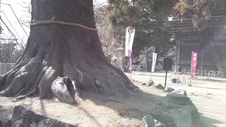 f:id:hmbdyh:20140119233038j:image f:id:hmbdyh:20140119233038j:image