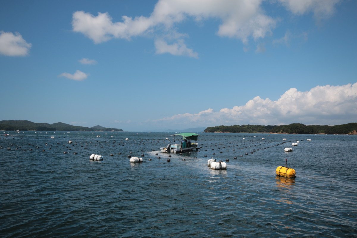 f:id:hms_ulysses:20150826103200j:image,w360,right f:id:hms_ulysses:20150826103200j:image,w360,right