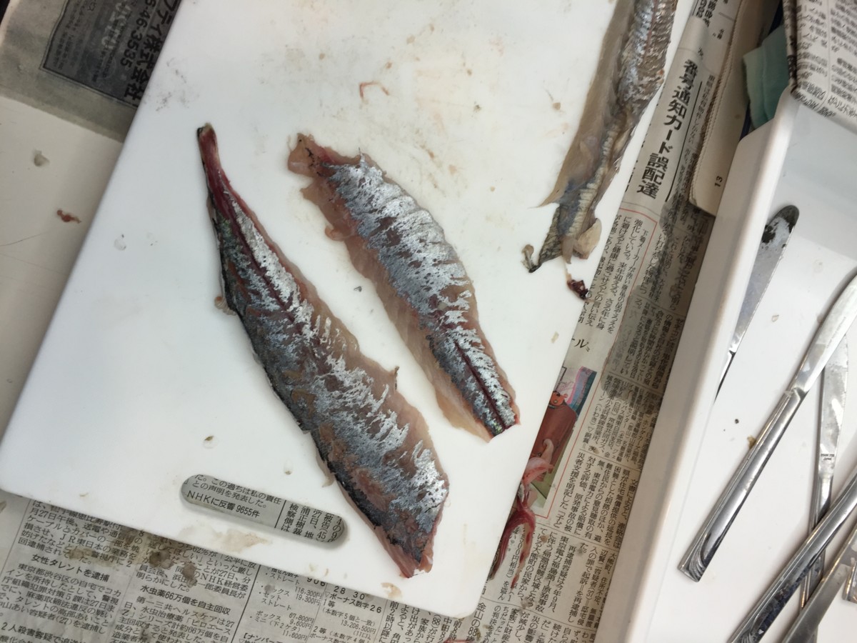 f:id:hms_ulysses:20151121175412j:image,w360 f:id:hms_ulysses:20151121175412j:image,w360