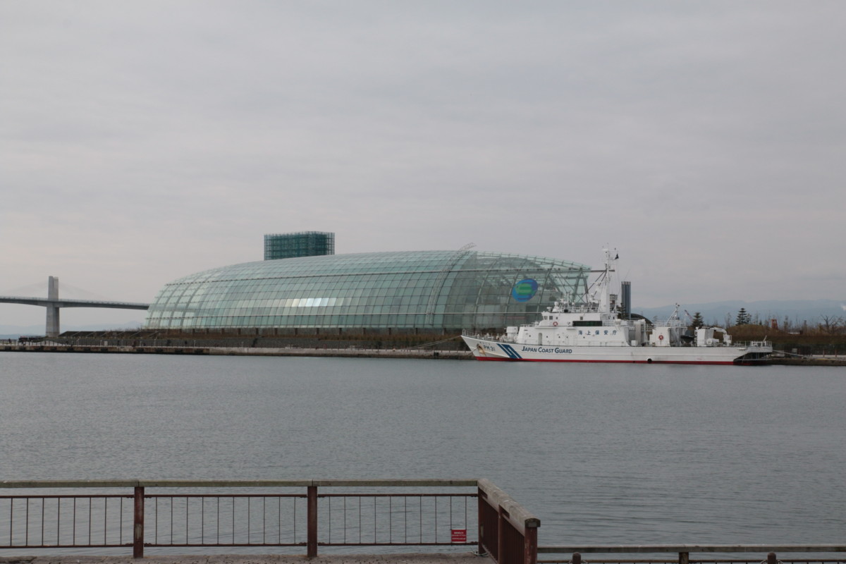 f:id:hms_ulysses:20151122101750j:plain f:id:hms_ulysses:20151122101750j:plain