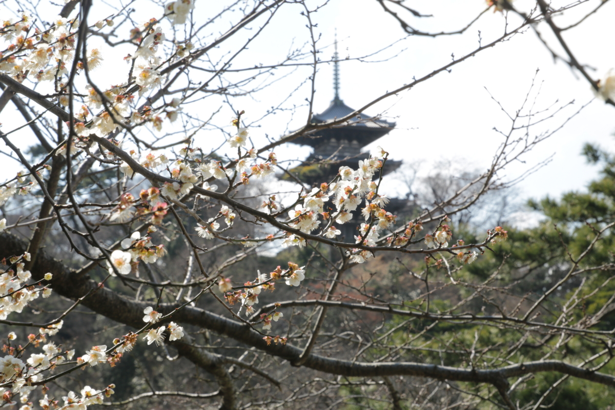 f:id:hms_ulysses:20160225130534j:image,w360