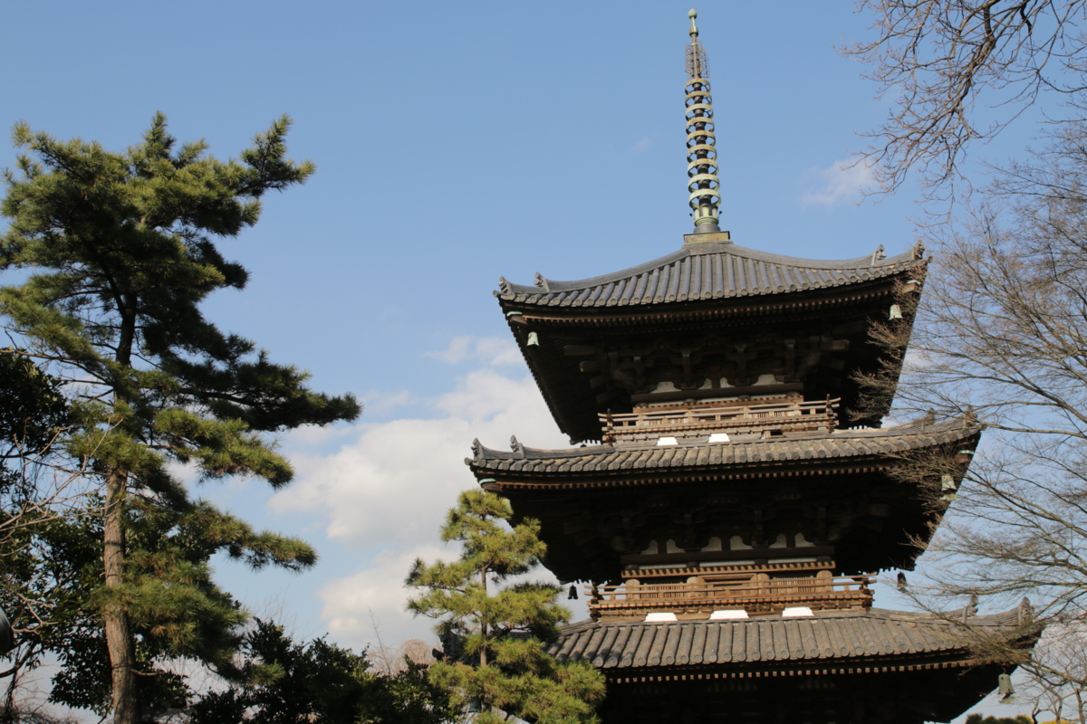 f:id:hms_ulysses:20160225145906j:image,w360