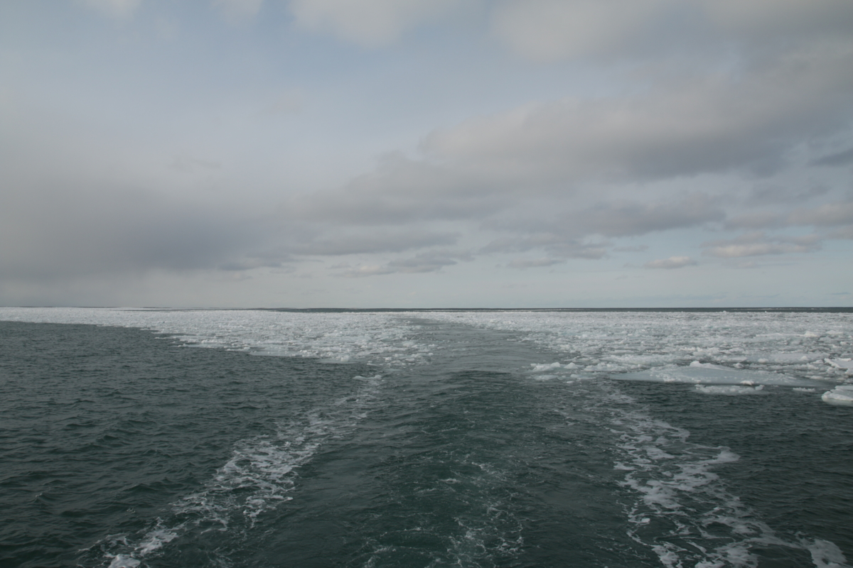 f:id:hms_ulysses:20160302154020j:image,w360 f:id:hms_ulysses:20160302154020j:image,w360