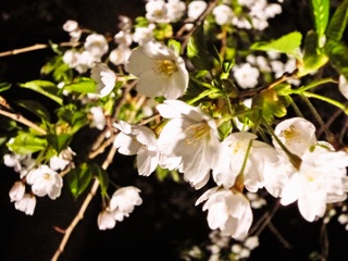f:id:hmsko:20140507031448j:plain f:id:hmsko:20140507031448j:plain