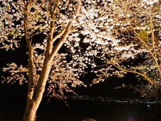 f:id:hmsko:20140507031501j:plain f:id:hmsko:20140507031501j:plain