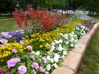 f:id:hmsko:20140717094901j:plain f:id:hmsko:20140717094901j:plain