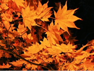 f:id:hmsko:20141028142003j:plain f:id:hmsko:20141028142003j:plain