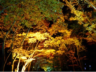 f:id:hmsko:20141028142024j:plain f:id:hmsko:20141028142024j:plain
