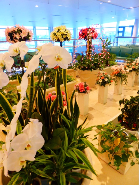 f:id:hmsko:20150106204825j:plain f:id:hmsko:20150106204825j:plain