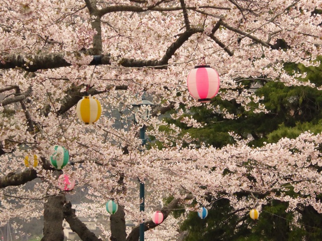f:id:hmsko:20150426230111j:plain f:id:hmsko:20150426230111j:plain