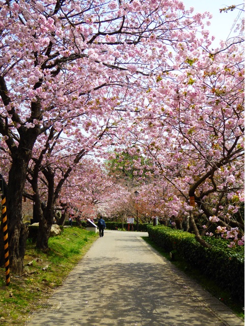 f:id:hmsko:20150502135234j:plain f:id:hmsko:20150502135234j:plain