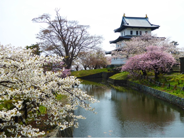 f:id:hmsko:20150502135307j:plain f:id:hmsko:20150502135307j:plain