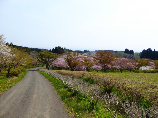 f:id:hmsko:20150502135611j:plain f:id:hmsko:20150502135611j:plain