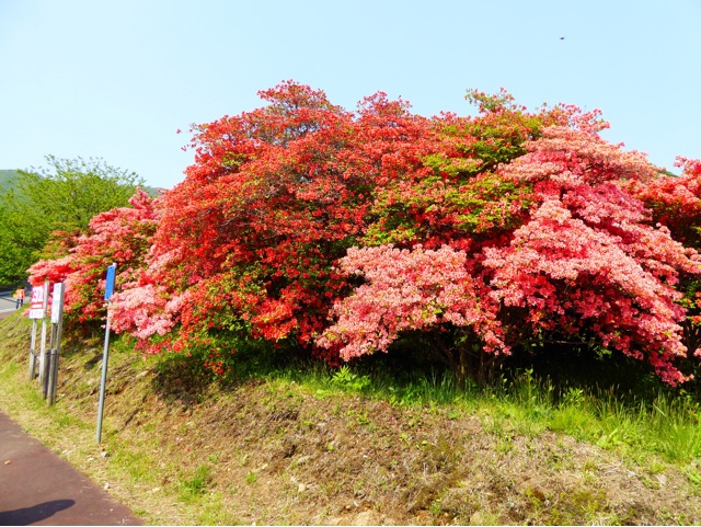 f:id:hmsko:20150525174815j:plain f:id:hmsko:20150525174815j:plain
