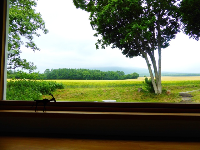 f:id:hmsko:20150627221501j:plain f:id:hmsko:20150627221501j:plain
