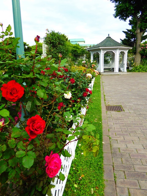 f:id:hmsko:20150717182858j:plain f:id:hmsko:20150717182858j:plain
