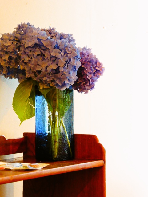 f:id:hmsko:20150727204953j:plain f:id:hmsko:20150727204953j:plain