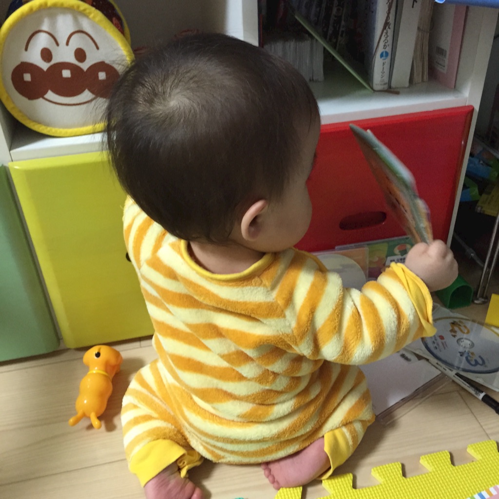 f:id:hnhnhnchan:20151112114620j:image f:id:hnhnhnchan:20151112114620j:image