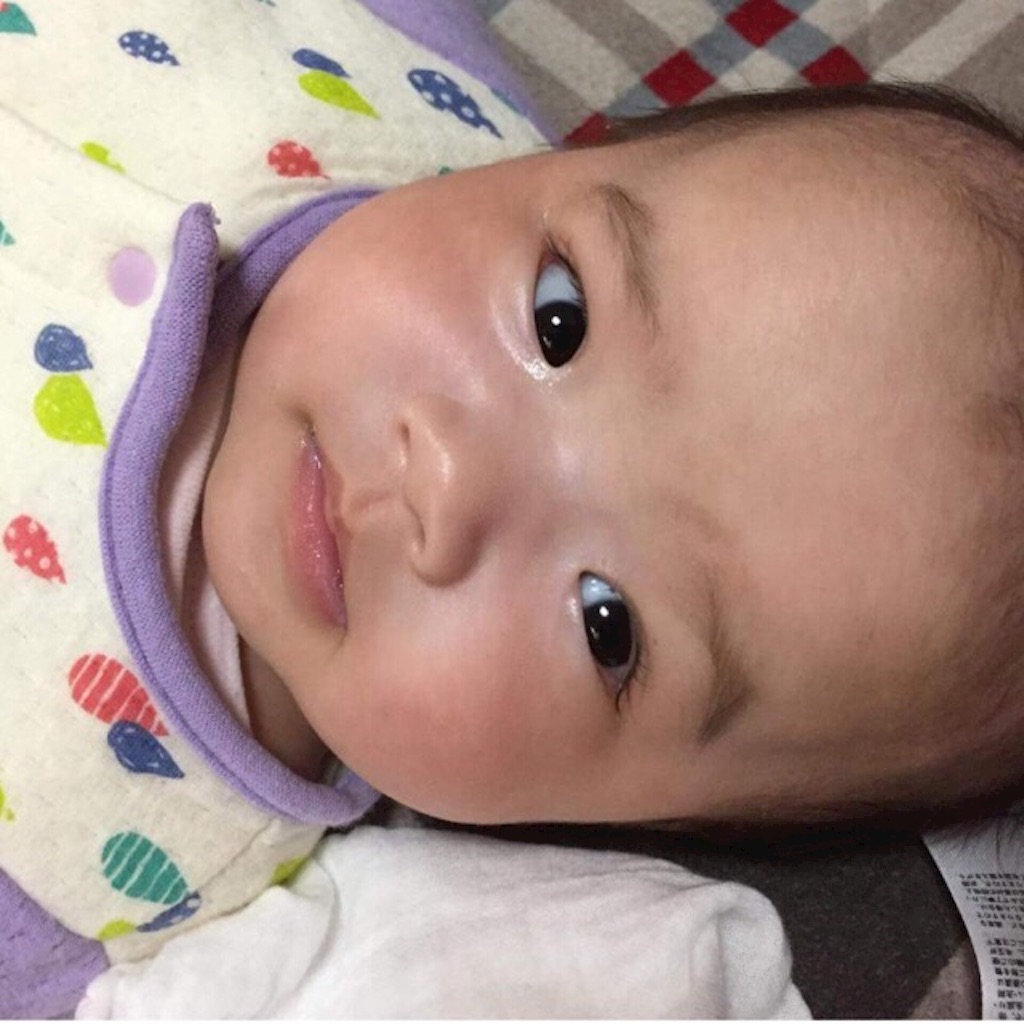 f:id:hnhnhnchan:20151205210820j:image f:id:hnhnhnchan:20151205210820j:image