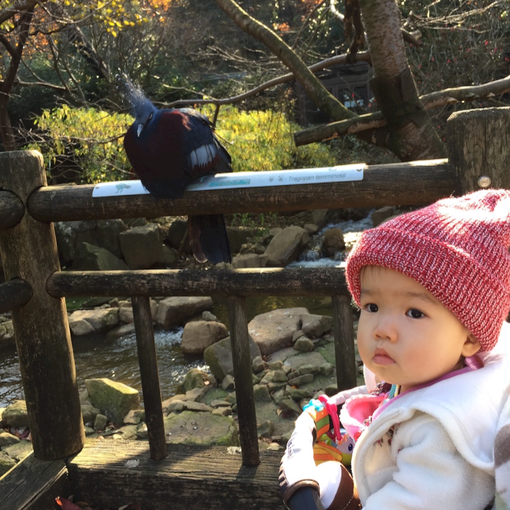 f:id:hnhnhnchan:20151212230124j:image f:id:hnhnhnchan:20151212230124j:image