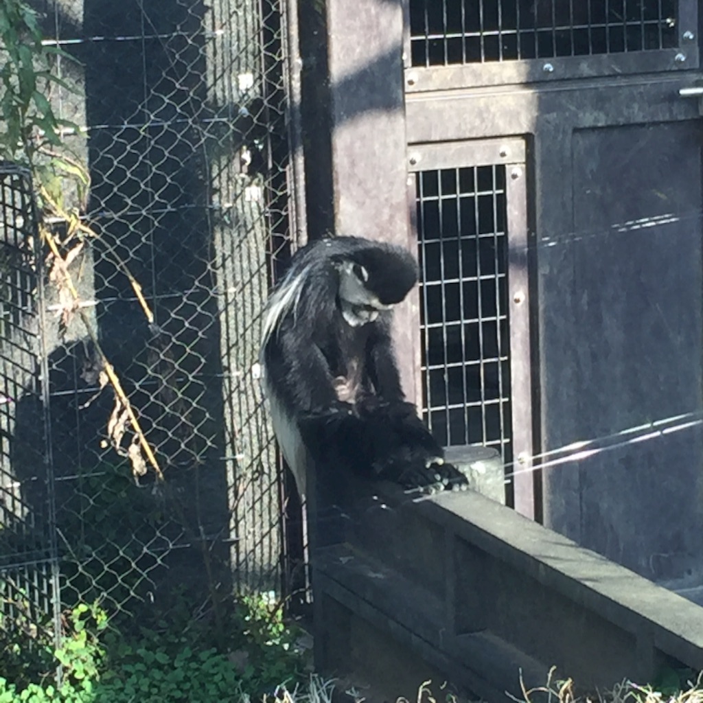 f:id:hnhnhnchan:20151212230535j:image f:id:hnhnhnchan:20151212230535j:image