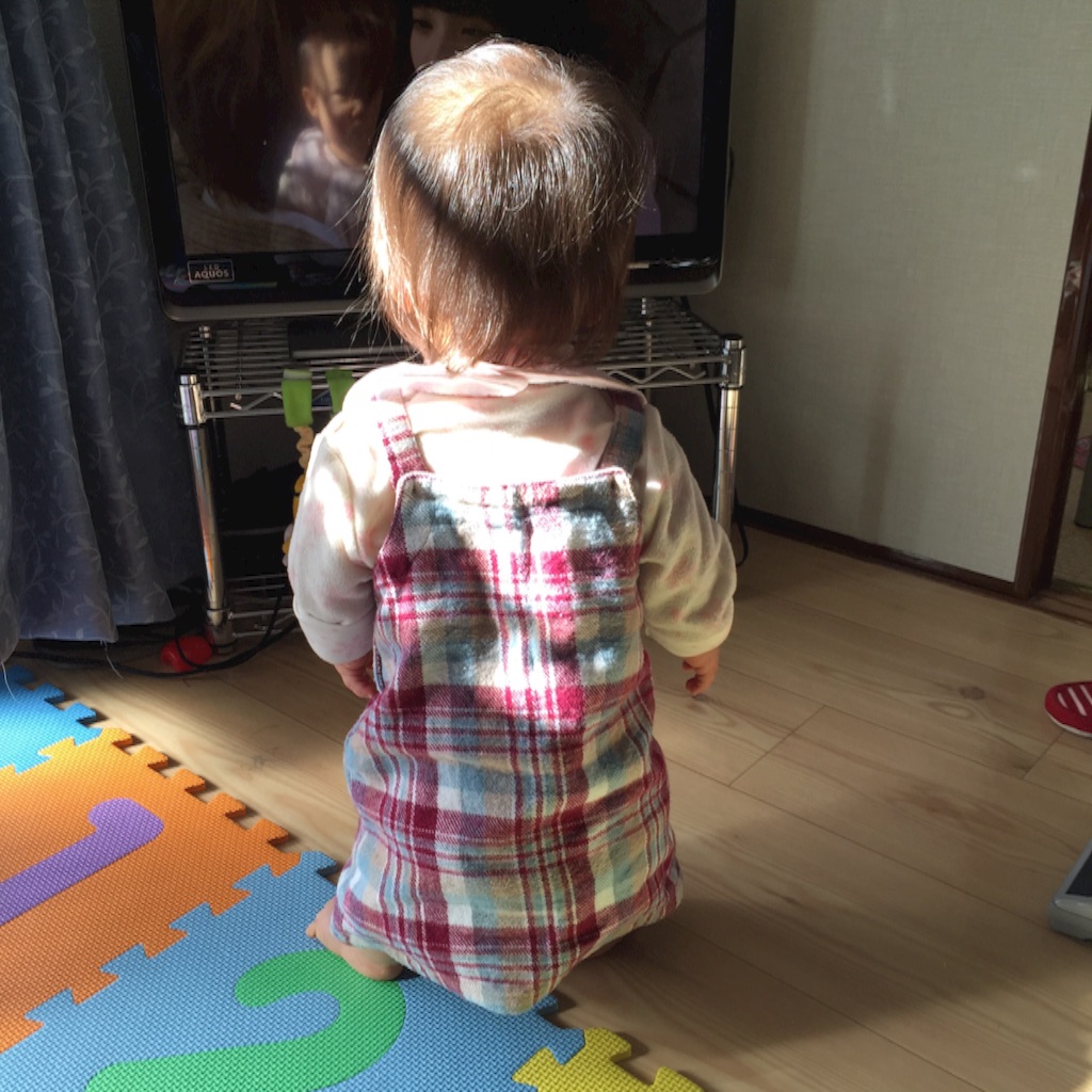 f:id:hnhnhnchan:20160116003938j:image f:id:hnhnhnchan:20160116003938j:image