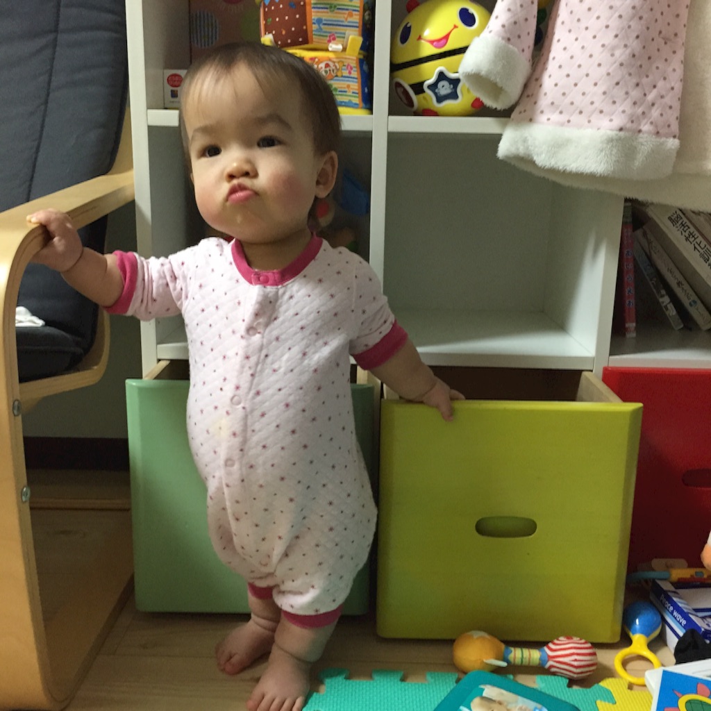 f:id:hnhnhnchan:20160202213419j:image f:id:hnhnhnchan:20160202213419j:image