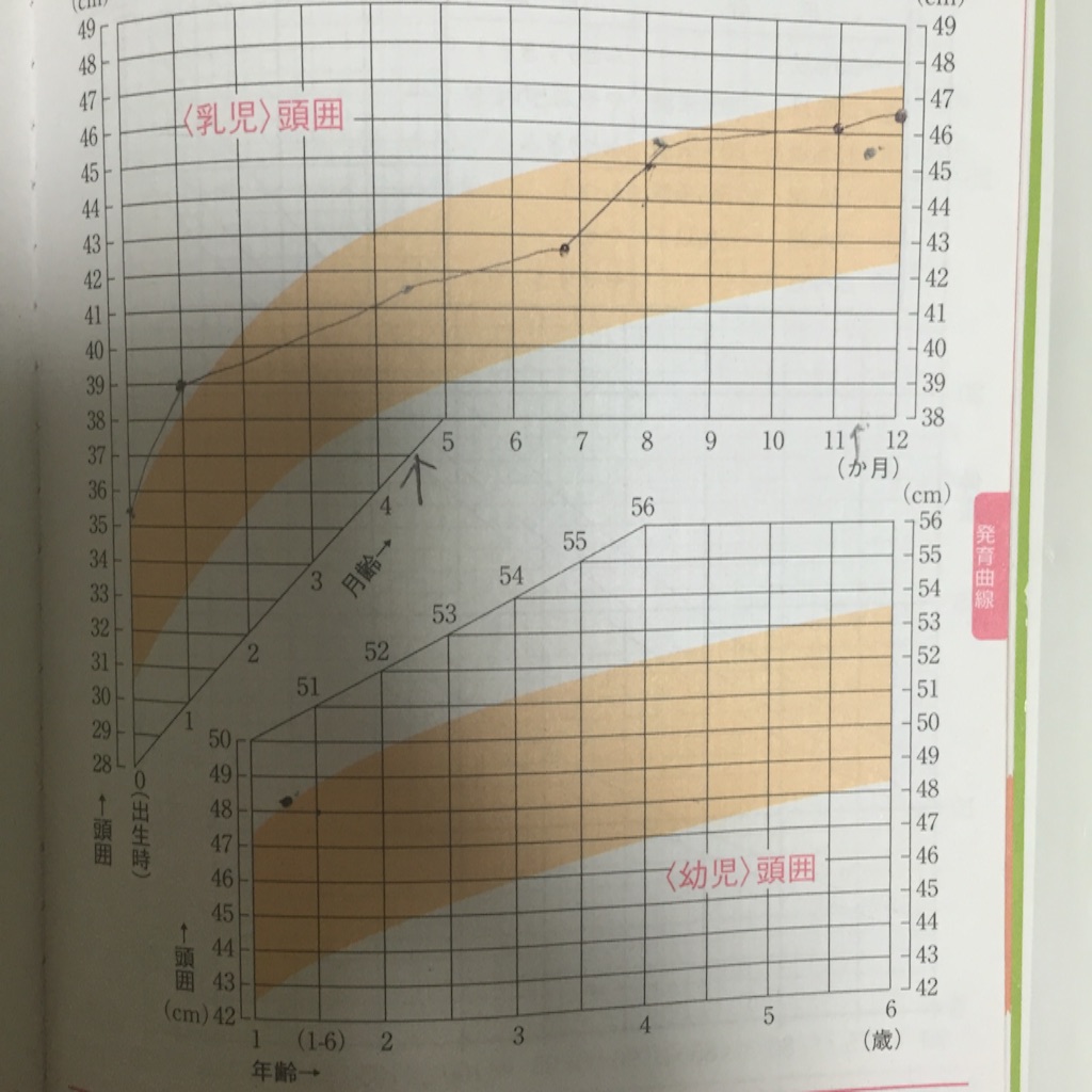 f:id:hnhnhnchan:20160423195021j:image f:id:hnhnhnchan:20160423195021j:image