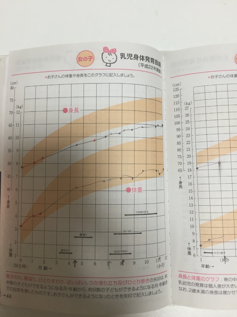 f:id:hnhnhnchan:20160423205103j:image f:id:hnhnhnchan:20160423205103j:image