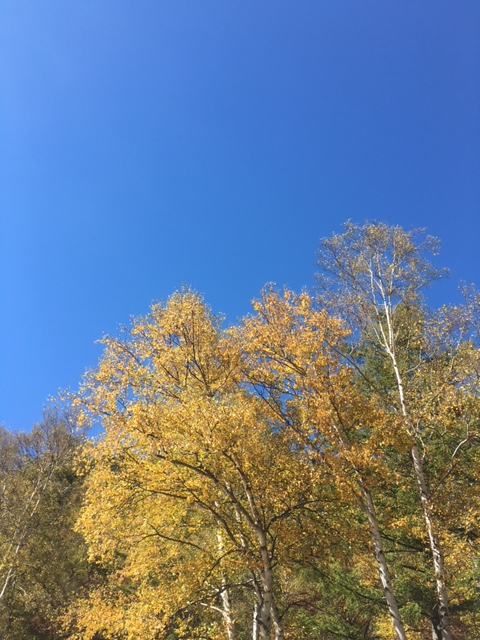f:id:hodenshaisd:20151012100858j:plain