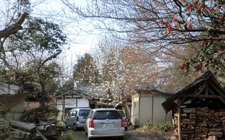 益子焼 湯呑み 円道寺窯 成井立歩 成井窯のうつわ │ 仙台PARCO-パルコ-