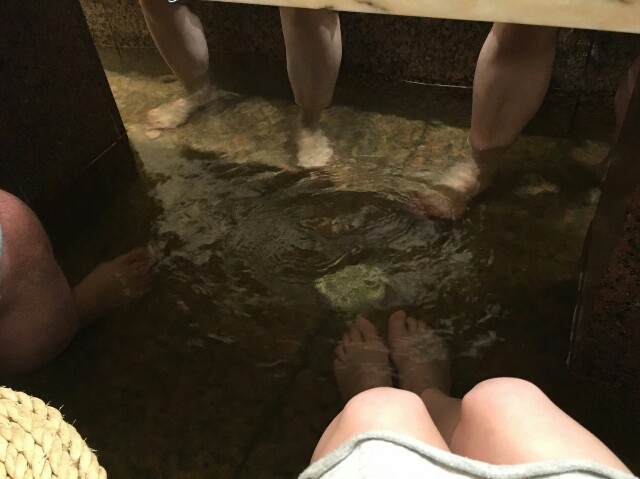 f:id:hokuriku_dodo:20160619232621j:image f:id:hokuriku_dodo:20160619232621j:image