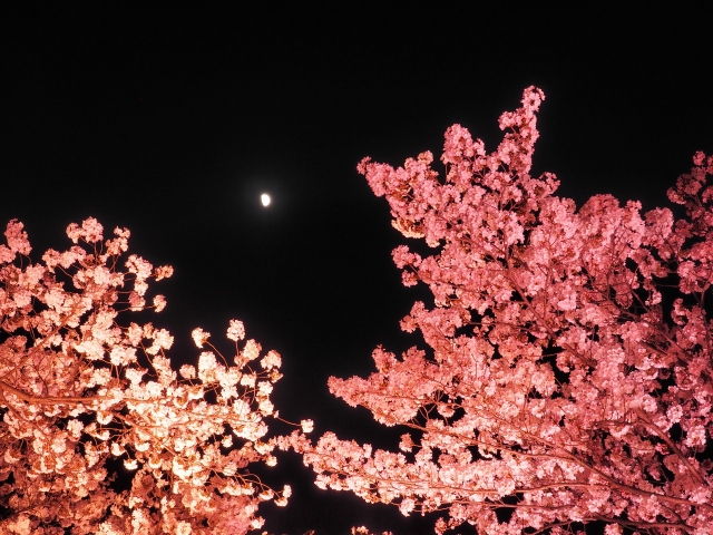 f:id:hokusho:20150330103056j:plain f:id:hokusho:20150330103056j:plain