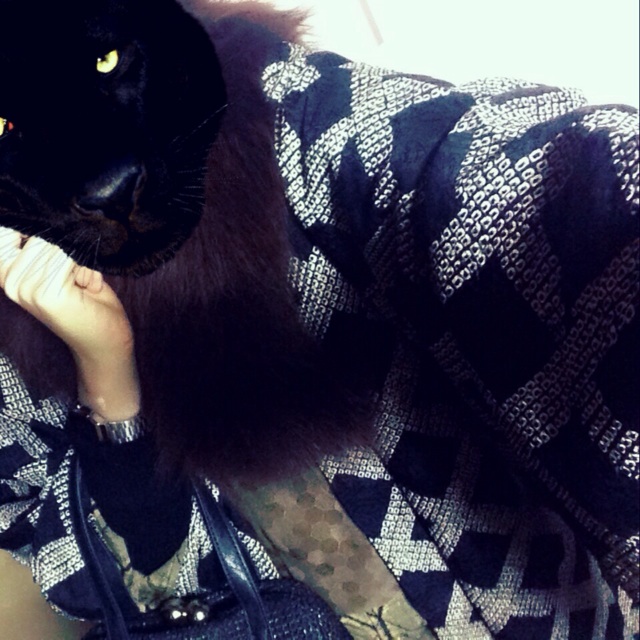 f:id:holidayui:20150118170438j:plain f:id:holidayui:20150118170438j:plain