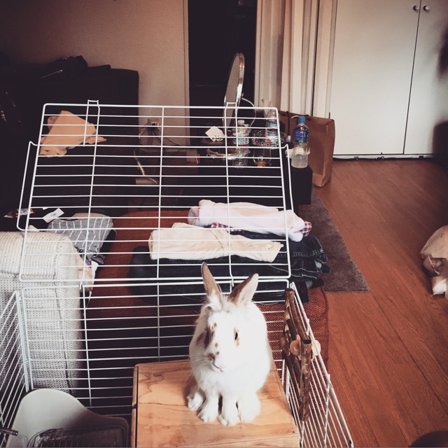 f:id:holidayui:20150506023203j:plain f:id:holidayui:20150506023203j:plain