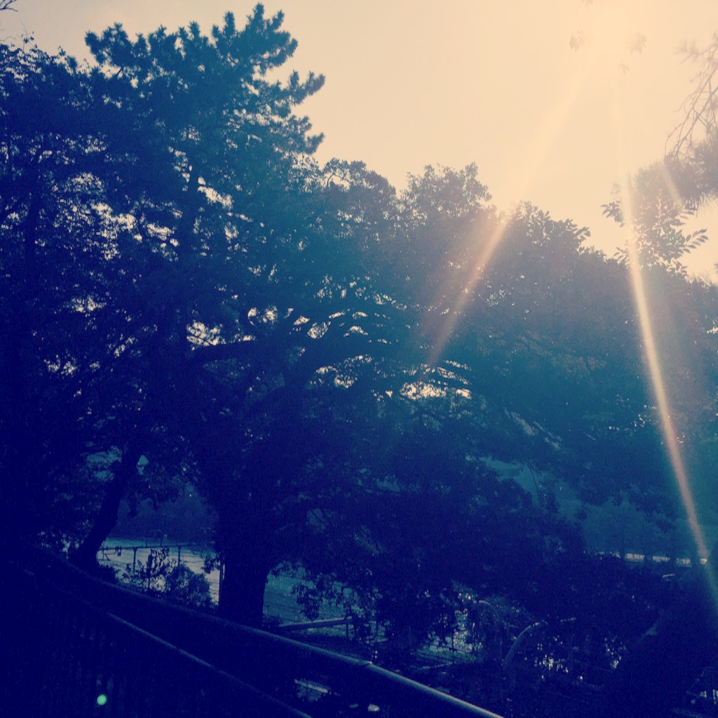 f:id:holidayui:20150807030404j:image f:id:holidayui:20150807030404j:image