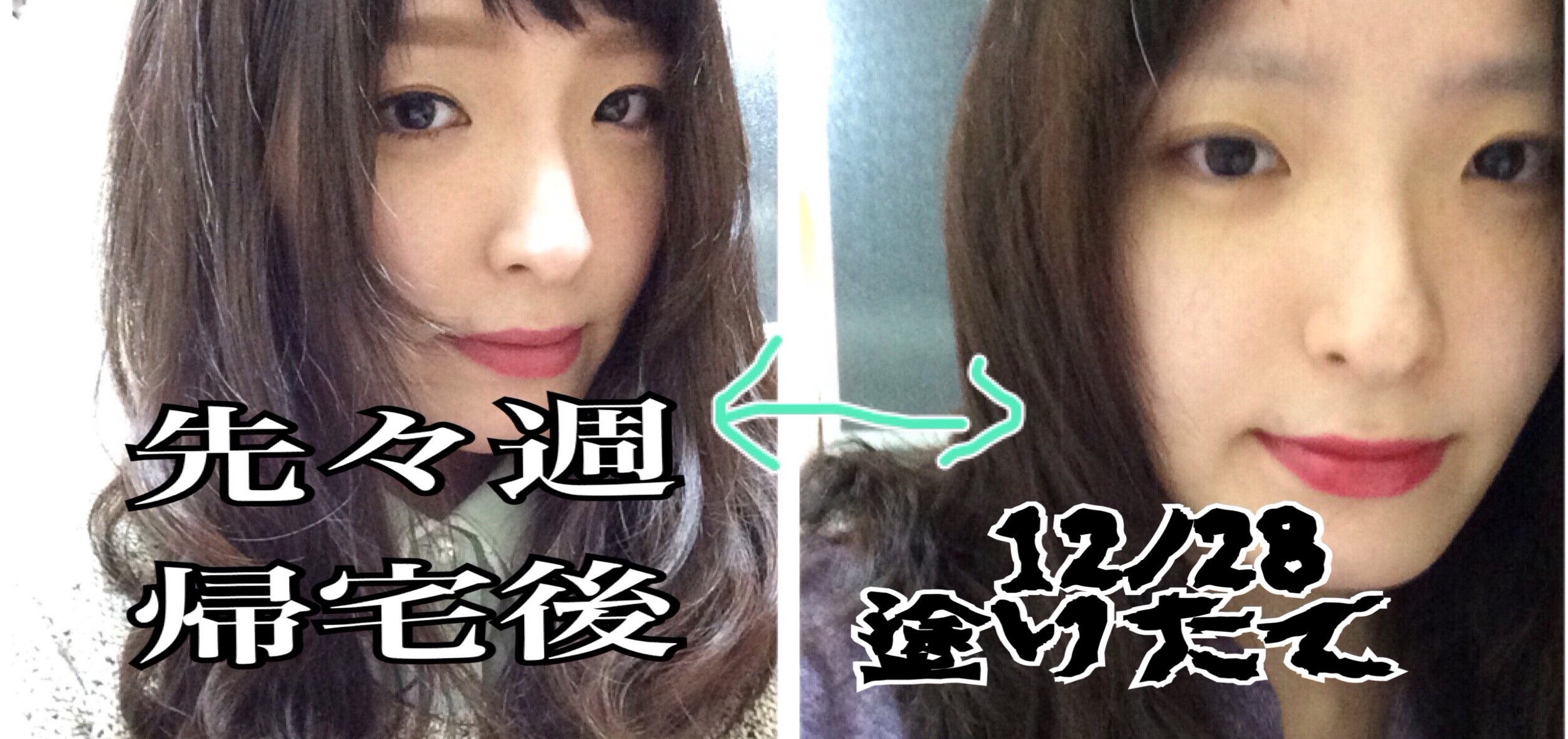 f:id:holysis:20151229090245j:image f:id:holysis:20151229090245j:image