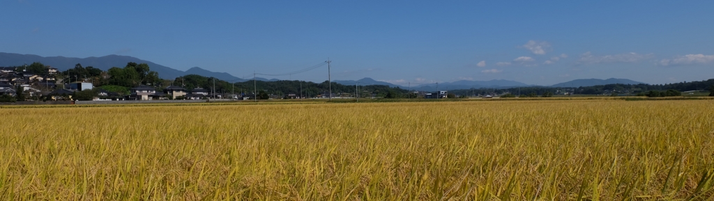 f:id:homare-temujin:20151027180814j:plain