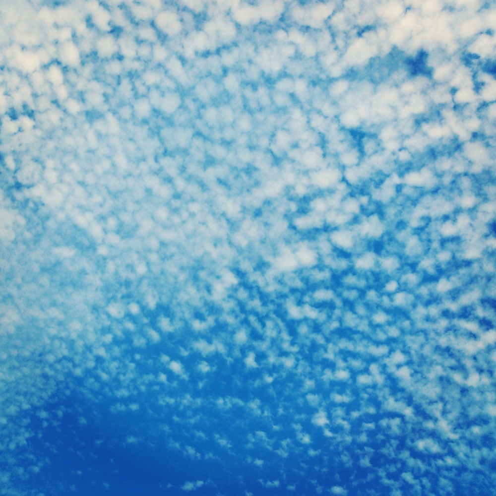 f:id:hon-noho:20140505215530j:image:w360 f:id:hon-noho:20140505215530j:image:w360