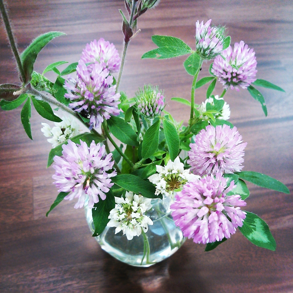 f:id:hon-noho:20140529192119j:image:w360 f:id:hon-noho:20140529192119j:image:w360