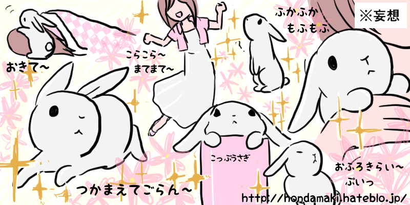 f:id:honda_maki:20140529001138j:plain