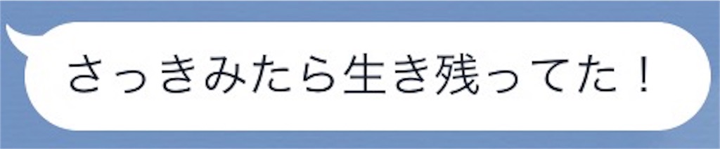 f:id:honeymeets:20160125231245j:image f:id:honeymeets:20160125231245j:image