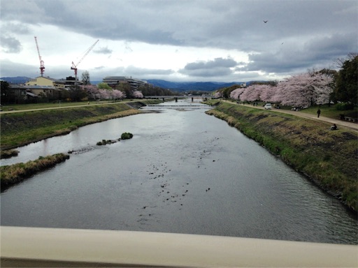 f:id:honeysuckle01:20160408043006j:image f:id:honeysuckle01:20160408043006j:image