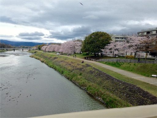 f:id:honeysuckle01:20160408043041j:image f:id:honeysuckle01:20160408043041j:image